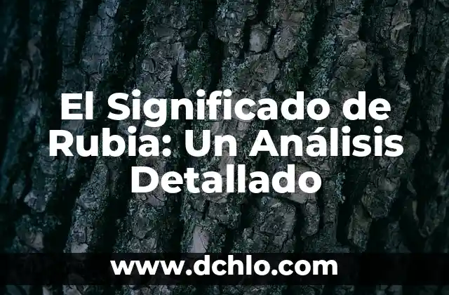 El Significado en Inglés de 'Understand' y su Uso en Español 8 El Significado de Rubia: Un Análisis Detallado