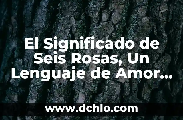 Cual es el significado de fulgurar: Un viaje al corazón del lenguaje 3 El Significado de Seis Rosas, Un Lenguaje de Amor y Pasión