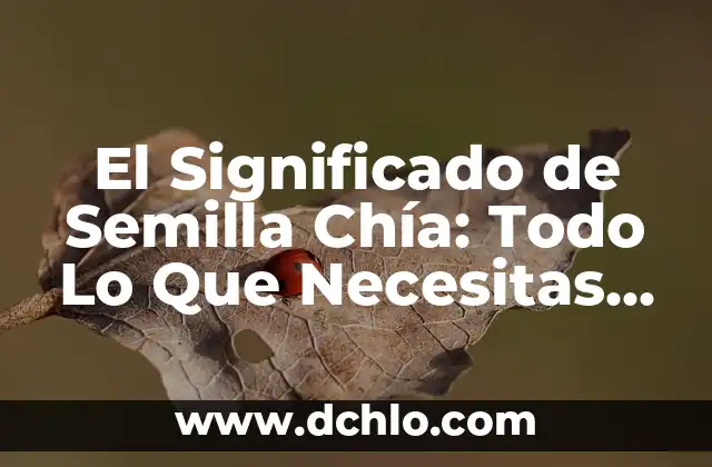 Cual Es el Significado de Launcher 6 El Significado de Semilla Chía: Todo Lo Que Necesitas Saber