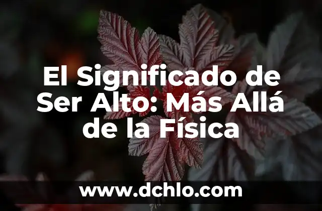 El Significado del Logo de Seguridad Pública 3 El Significado de Ser Alto: Más Allá de la Física