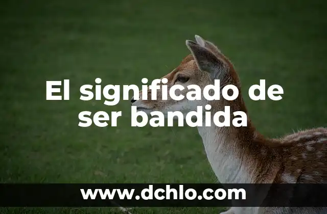 El Significado de Ser Imprudente 3 El significado de ser bandida
