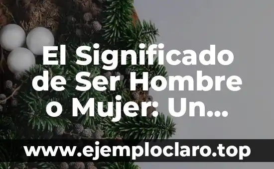 El Significado de Ser Hombre o Mujer: Un Análisis Profundo