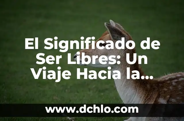 Buscar el significado de social: Un viaje hacia la comprensión humana 4 El Significado de Ser Libres: Un Viaje Hacia la Autonomía y la Independencia