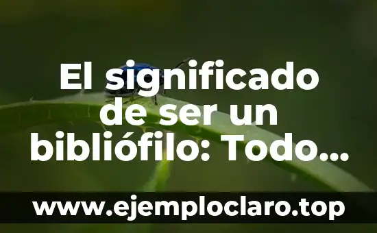 El significado de ser un bibliófilo: Todo lo que debes saber