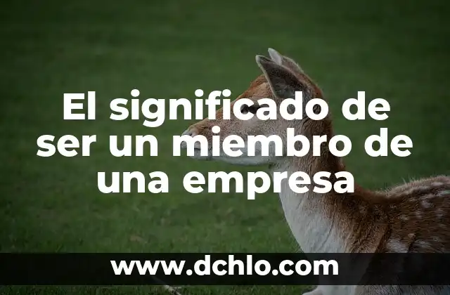 Significado de un ser superior 8 El significado de ser un miembro de una empresa