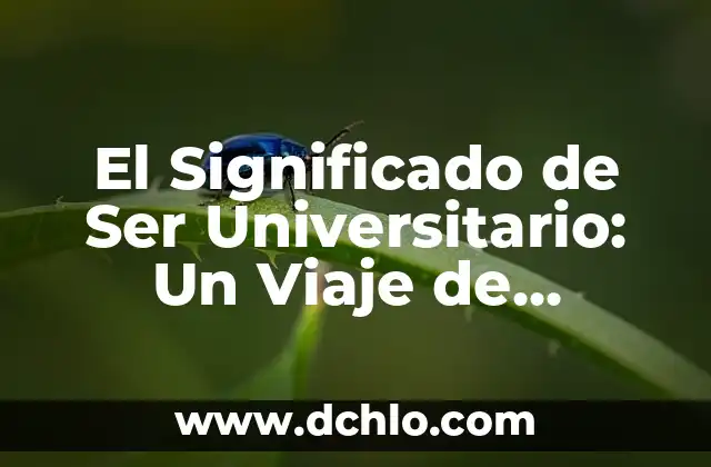 Significado Literario de Rima Asonante 4 El Significado de Ser Universitario: Un Viaje de Descubrimiento y Crecimiento