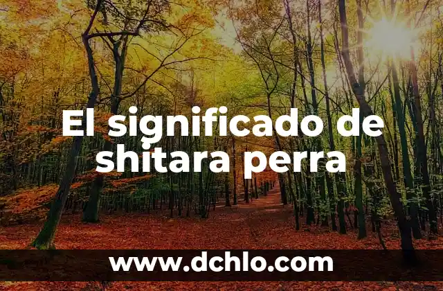 El Significado de Semilla Chía: Todo Lo Que Necesitas Saber 8 El significado de shitara perra