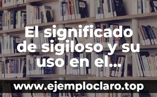 El significado de 'predilecta' en el diccionario: Guía completa sobre su definición y uso 7 El significado de sigiloso y su uso en el lenguaje
