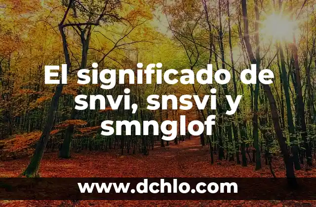 Significado del Nombre de Iván 6 El significado de snvi, snsvi y smnglof