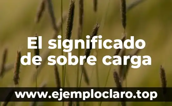 Significado de la Liturgia de la Palabra: Un Recorrido por su Importancia y Tradición 4 El significado de sobre carga