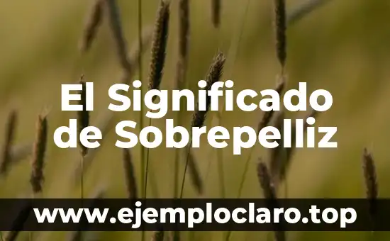 Evolución del Significado de Psicología 4 El Significado de Sobrepelliz
