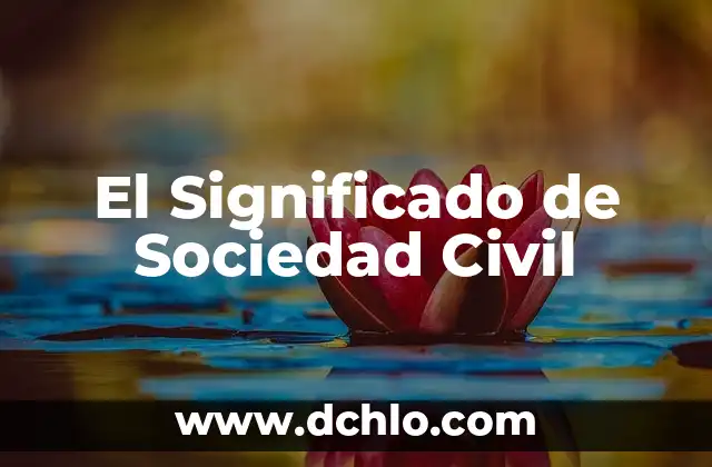 El Rol de la Casamentera en la Sociedad 5 El Significado de Sociedad Civil