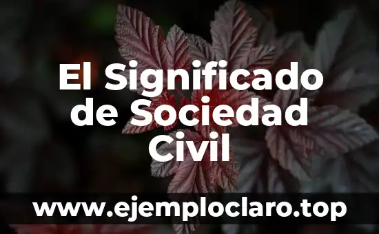 El Significado de Sociedad Civil