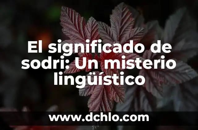 Nanacamilpa - Un Misterio Lingüístico 3 El significado de sodri: Un misterio lingüístico