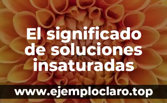 El Significado de El Rito de Rigoberta Bandini 6 El significado de soluciones insaturadas