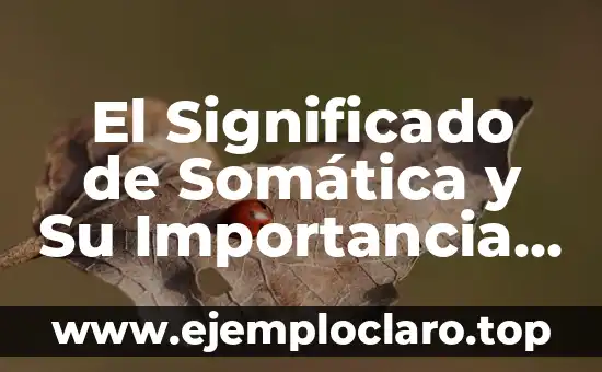 El Significado de Somática y Su Importancia en Diferentes Campos