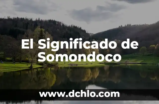 Investigar el Significado de F贸sil 8 El Significado de Somondoco