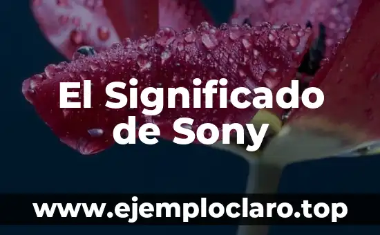 El Significado de Sony