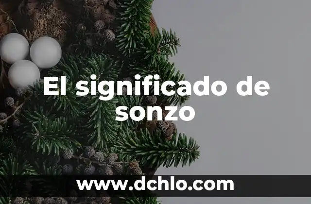Significado de sopar 4 El significado de sonzo