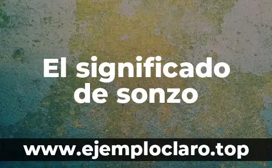 El significado de sonzo