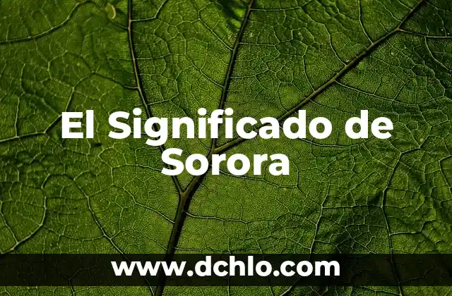 Significado del Volcán de Evermann 4 El Significado de Sorora