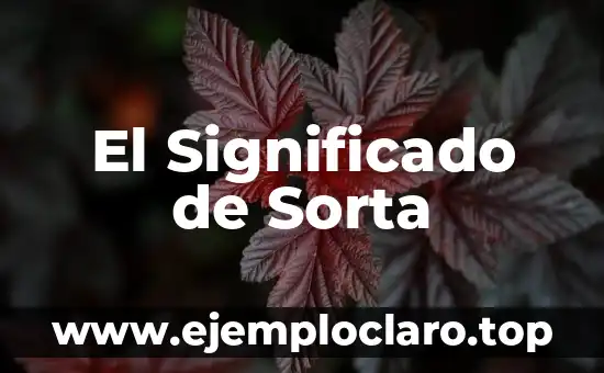 El Significado de Sorta