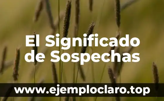 El Significado de Sospechas