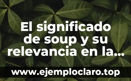 El significado de soup y su relevancia en la gastronomía