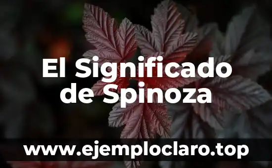 significado de spiner 4 El Significado de Spinoza