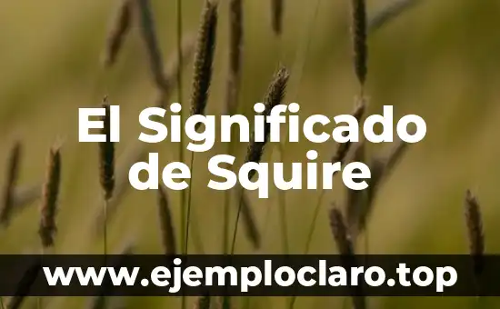 El Significado de Squire