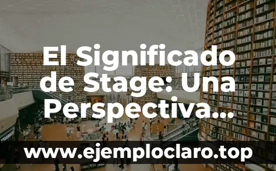 El Significado de Stage: Una Perspectiva Integral