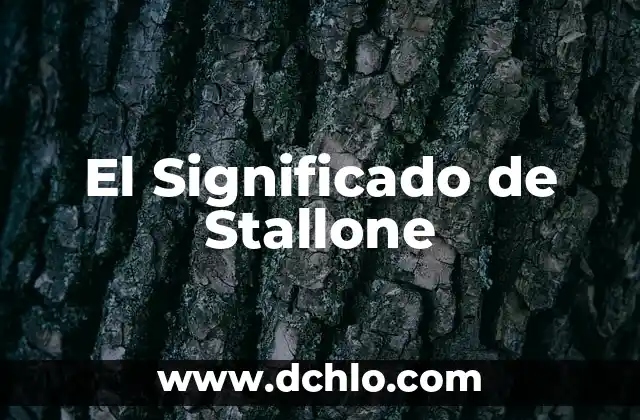 Inciensos y su significado en la cultura y la espiritualidad 3 El Significado de Stallone