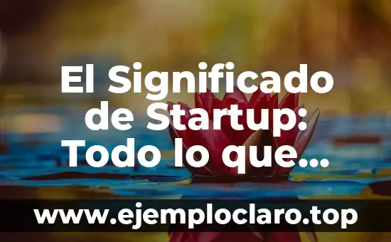 Significado de SpO2: Todo lo que Necesitas Saber 6 El Significado de Startup: Todo lo que Necesitas Saber