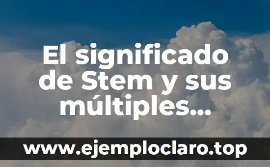 El significado de Stem y sus múltiples interpretaciones