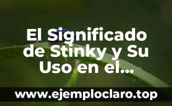 El Significado de Stinky y Su Uso en el Idioma