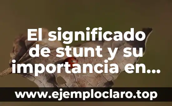 El significado de stunt y su importancia en el entretenimiento