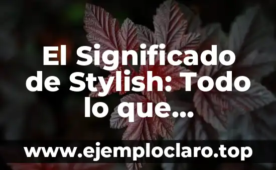 El significado de stunt y su importancia en el entretenimiento 6 El Significado de Stylish: Todo lo que Necesitas Saber