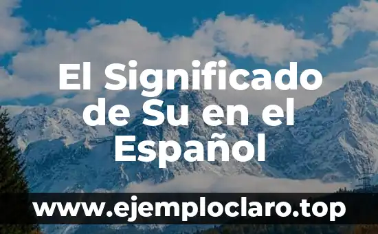 Significado en Español de Naer 3 El Significado de Su en el Español
