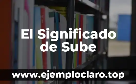 Significado de las Normas Sociales 5 El Significado de Sube
