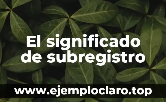 El significado de subregistro