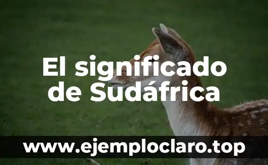 El significado de la interculturalidad 4 El significado de Sudáfrica