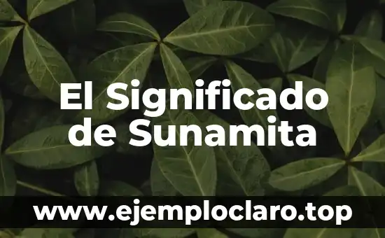 El Significado de Sunamita