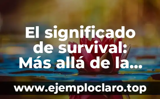 El significado de survival: Más allá de la supervivencia