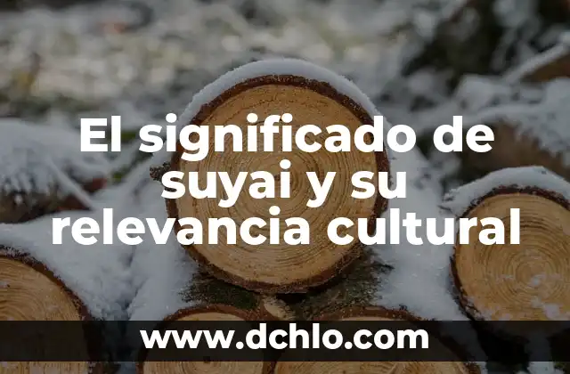 Idioma de Tokio y significado: Un viaje cultural 3 El significado de suyai y su relevancia cultural