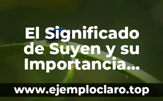 Importe de los Estímulos Significado: Un Enfoque Integral 7 El Significado de Suyen y su Importancia Histórica