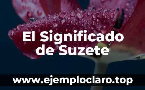 El Significado de Suzete
