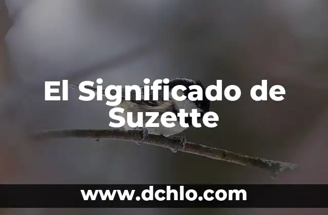 Significado e Imágenes de Justicia 3 El Significado de Suzette