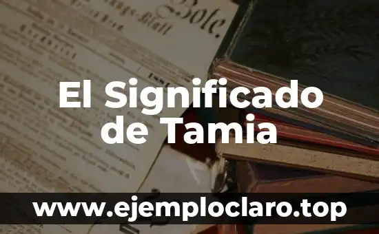 Significado de SVB: Todo lo que debes saber 6 El Significado de Tamia