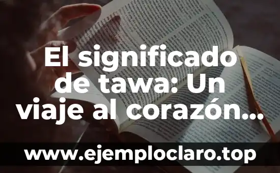 El significado de tawa: Un viaje al corazón de la naturaleza