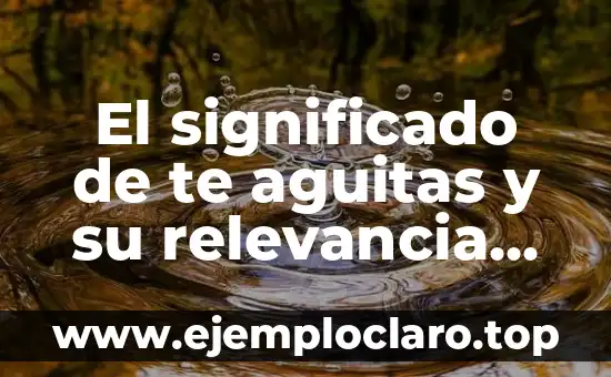 El significado de te aguitas y su relevancia en la cultura popular